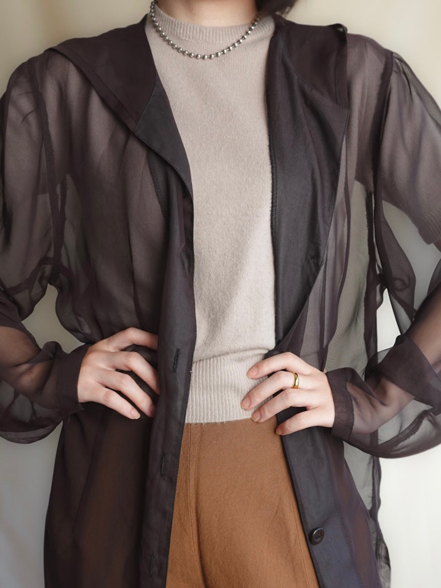 Sheer Hoodie