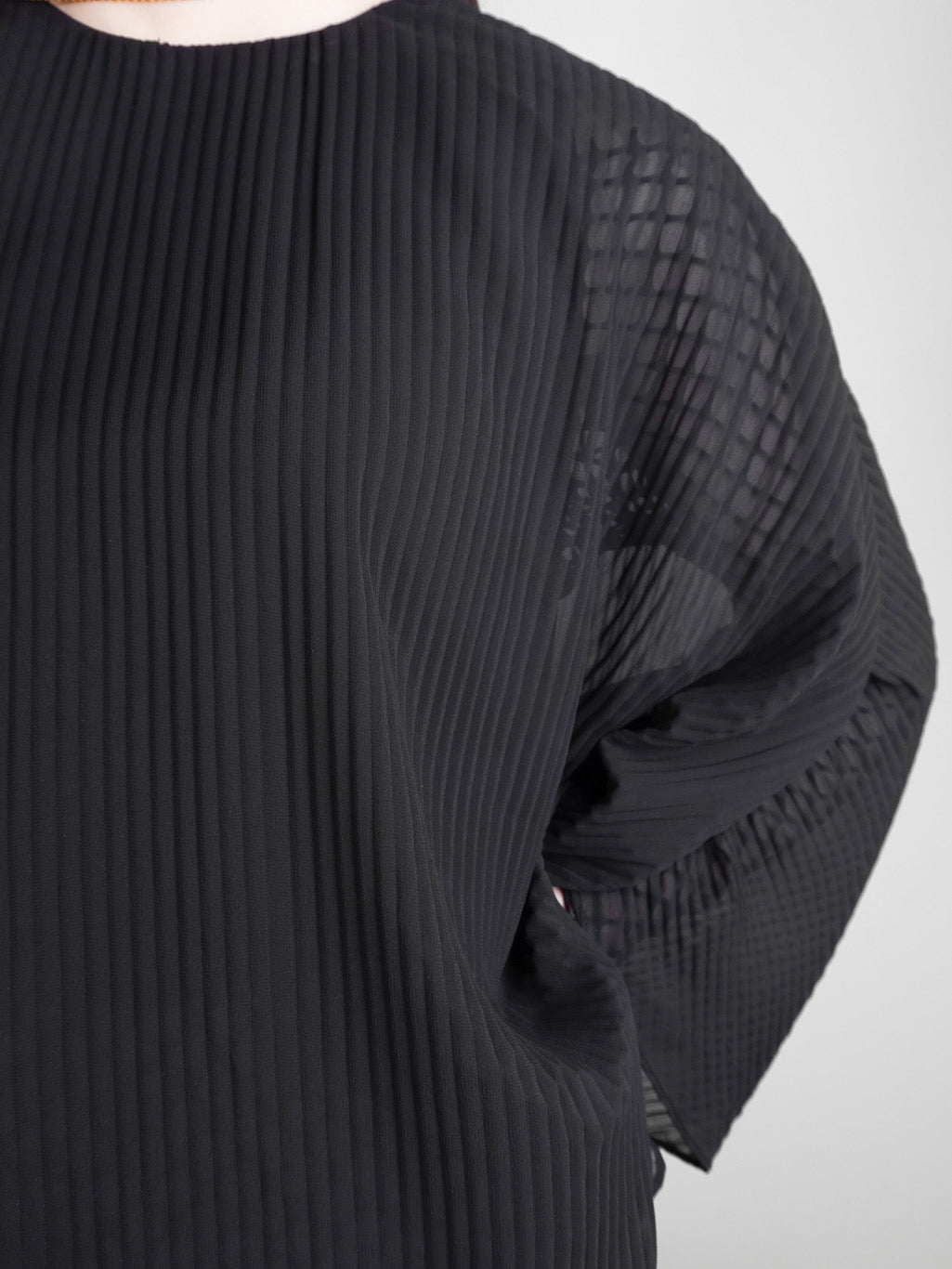 Pleats Sheer Blouse