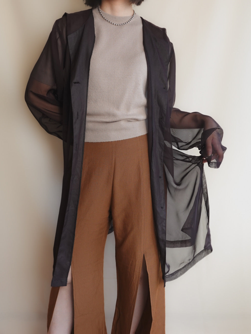 Sheer Hoodie