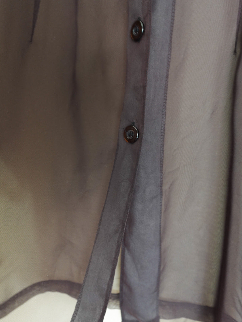 Sheer Hoodie