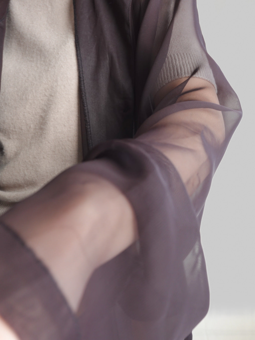 Sheer Hoodie