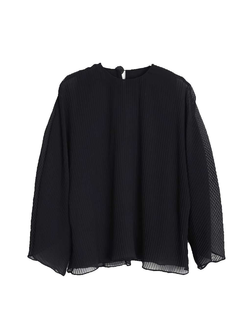Pleats Sheer Blouse