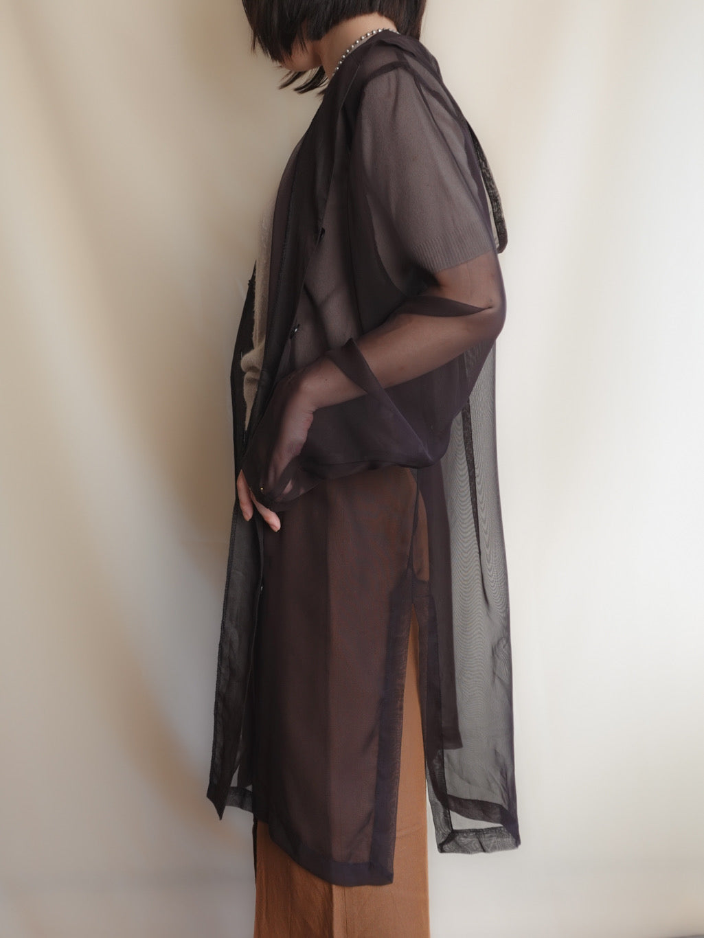 Sheer Hoodie
