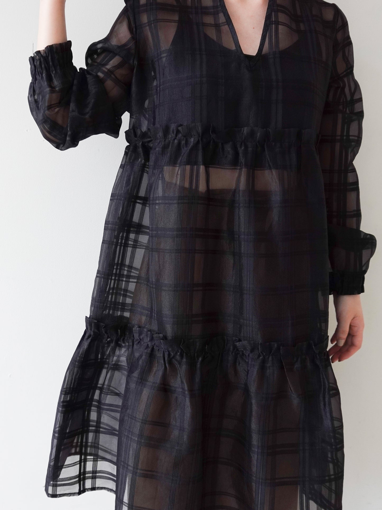Sheer Tunic Tops
