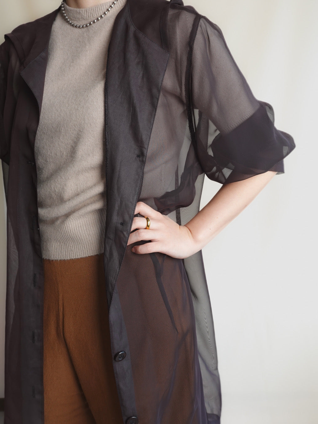 Sheer Hoodie
