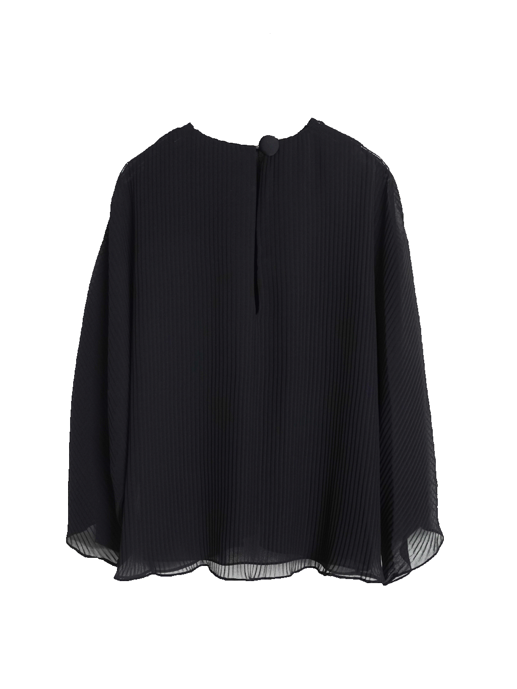 Pleats Sheer Blouse