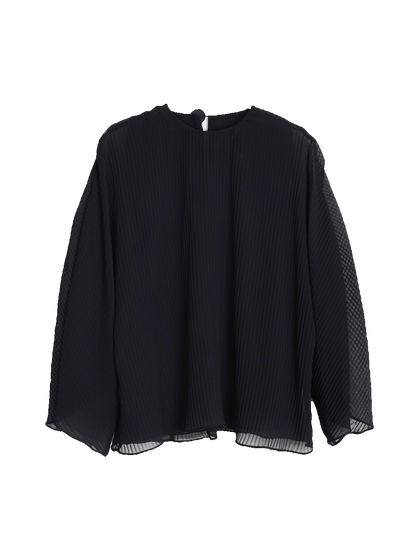 Pleats Sheer Blouse