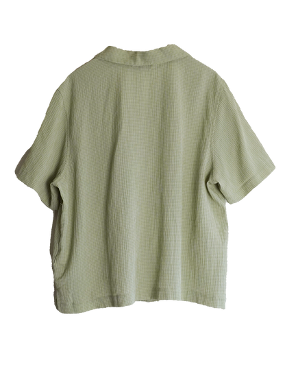 Open collar Shirt